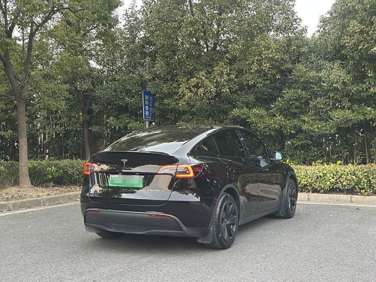 特斯拉 Model 3  2022款 后輪驅(qū)動版圖片