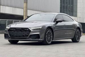 奧迪A7L 奧迪 45 TFSI quattro S-line 圣騎士