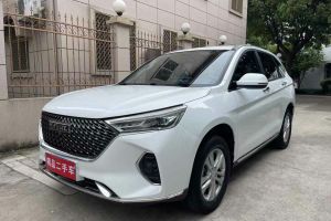 M6 哈弗 PLUS 1.5T DCT柳巖聯(lián)名版