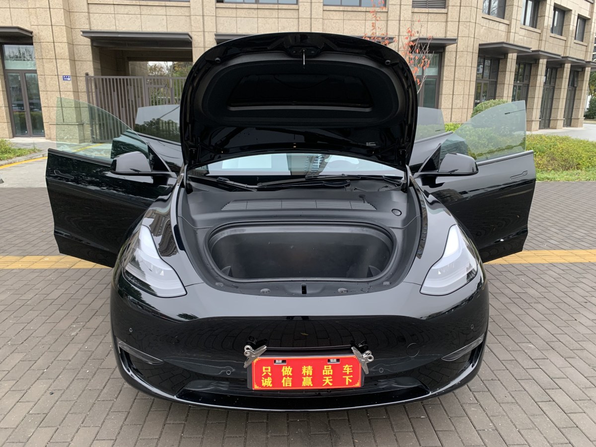 特斯拉 Model 3  2022款 Performance高性能全輪驅(qū)動版圖片