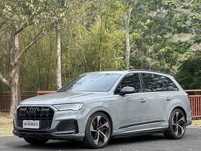 2024年4月 奧迪 奧迪SQ7(進口) 4.0 TFSI 暗夜騎士版圖片