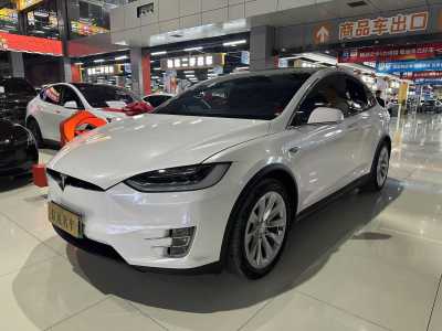 2020年1月 特斯拉 Model X 长续航版图片