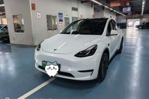 Model Y 特斯拉 后輪驅(qū)動版