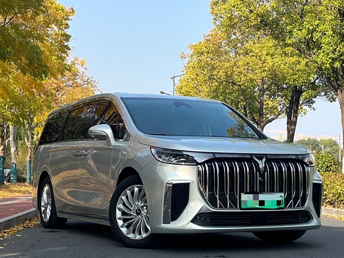 嵐圖 夢想家  2024款 PHEV 超長續(xù)航尊貴版圖片