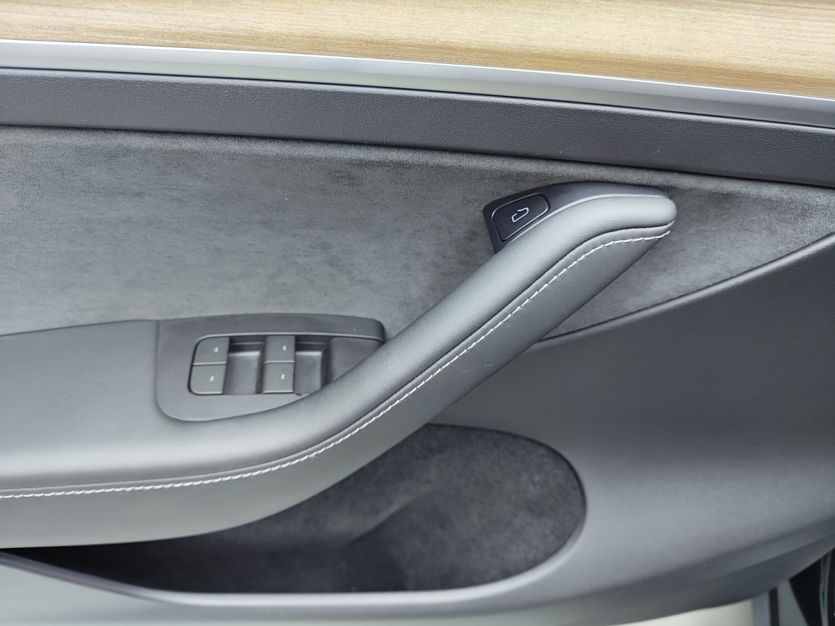 特斯拉 Model Y  2021款 標(biāo)準(zhǔn)續(xù)航后驅(qū)版圖片