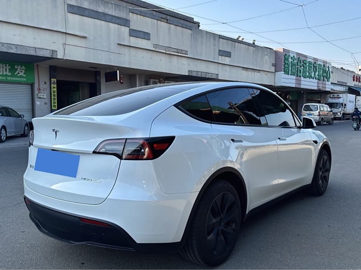 特斯拉 Model 3  2020款 改款 長續(xù)航后輪驅(qū)動(dòng)版圖片