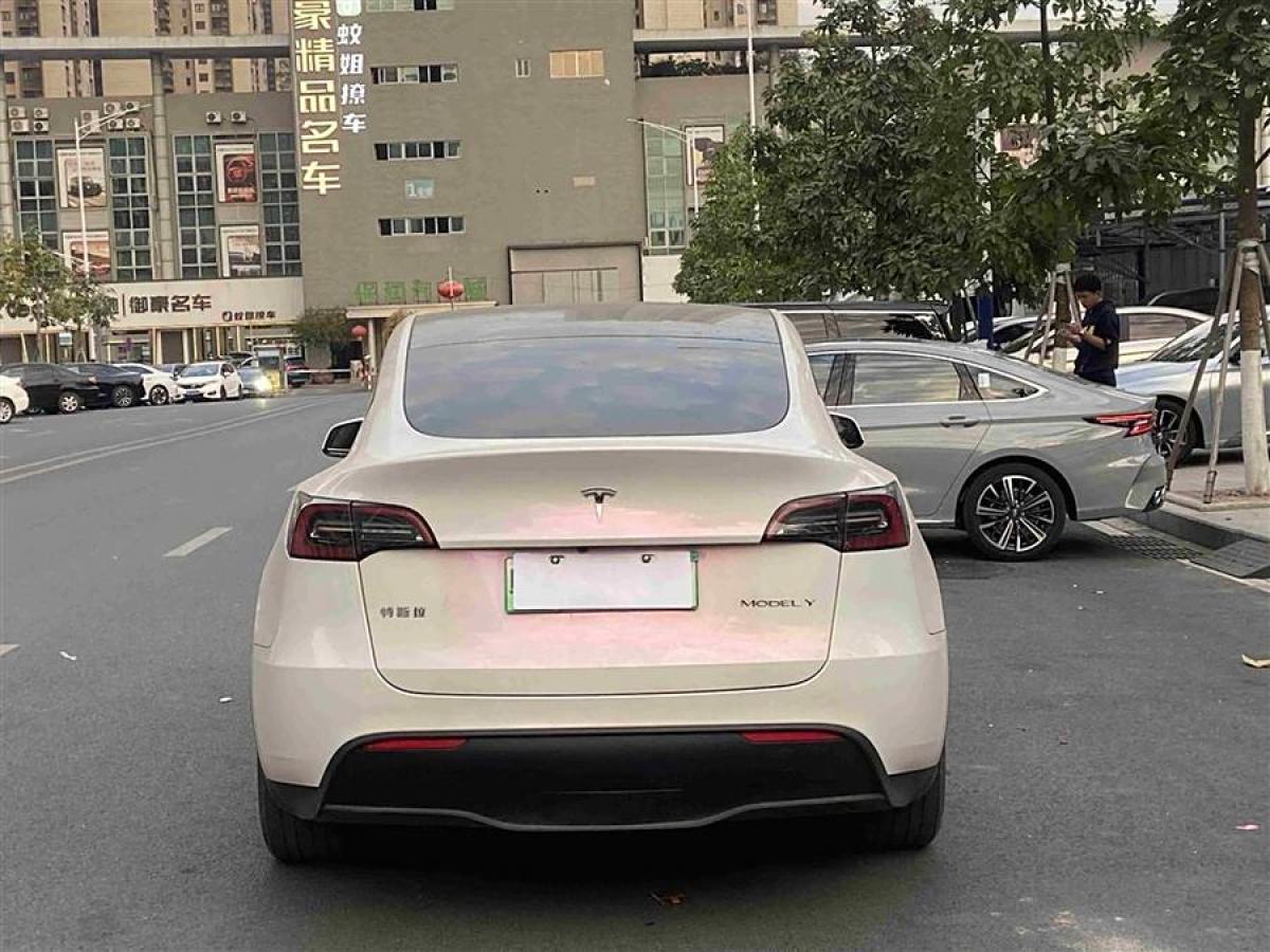 特斯拉 Model 3  2020款 改款 長續(xù)航后輪驅(qū)動版圖片