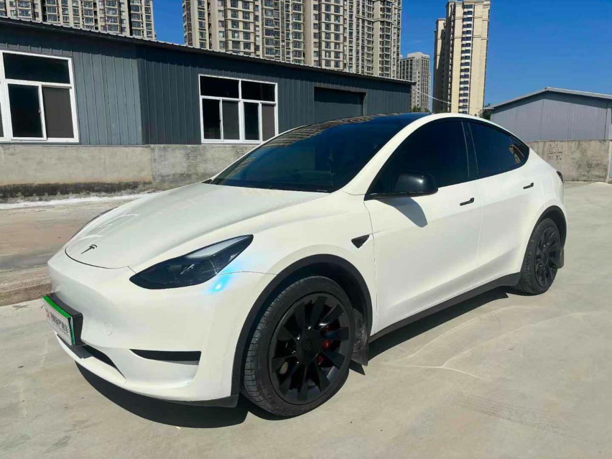 2022年1月特斯拉 Model Y  2022款 Performance高性能全輪驅(qū)動版