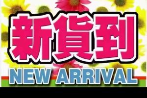 LITE LITE 原力版