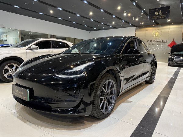 特斯拉 Model 3  2019款 标准续航后驱升级版