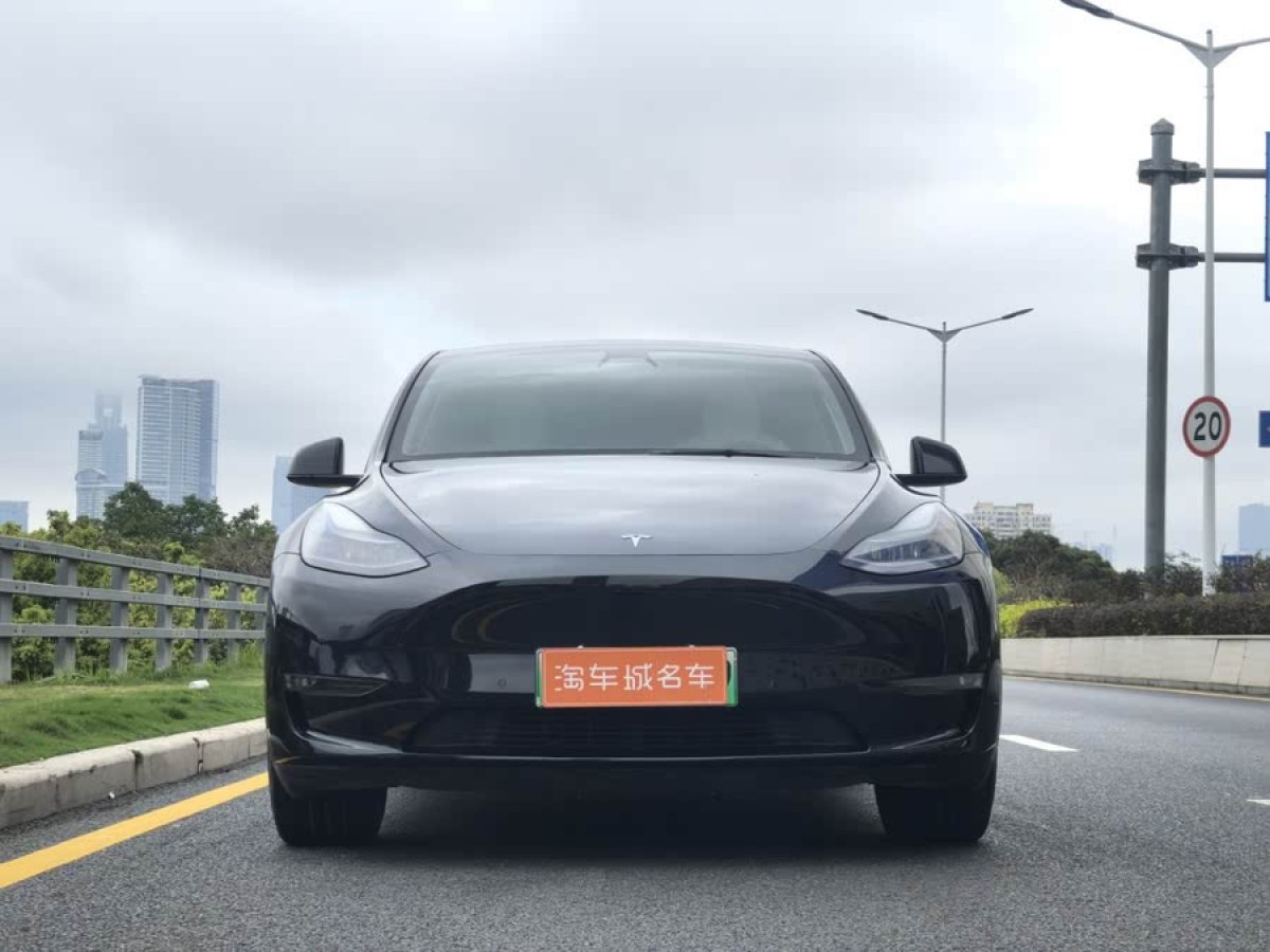 特斯拉 Model Y  2021款 改款 長續(xù)航全輪驅(qū)動版圖片