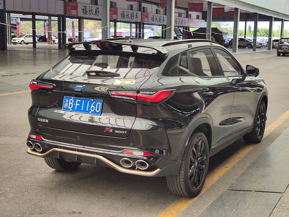 長(zhǎng)安歐尚 長(zhǎng)安歐尚X5  2022款 1.5T DCT俠客版圖片