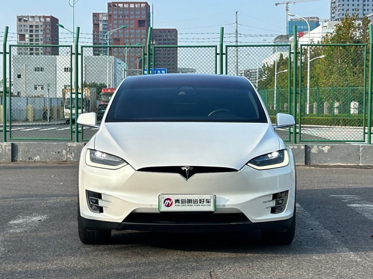 特斯拉 Model X  2019款 Performance 高性能版圖片