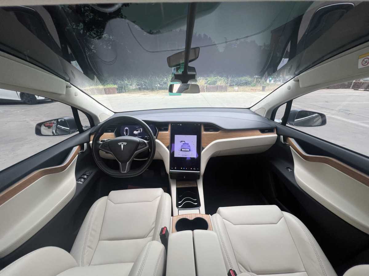 特斯拉 Model X  2017款 Model X 100D 长续航版图片