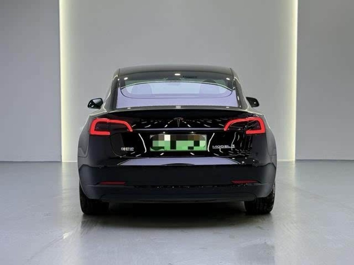 特斯拉 Model 3  2021款 改款 Performance高性能全輪驅(qū)動版圖片