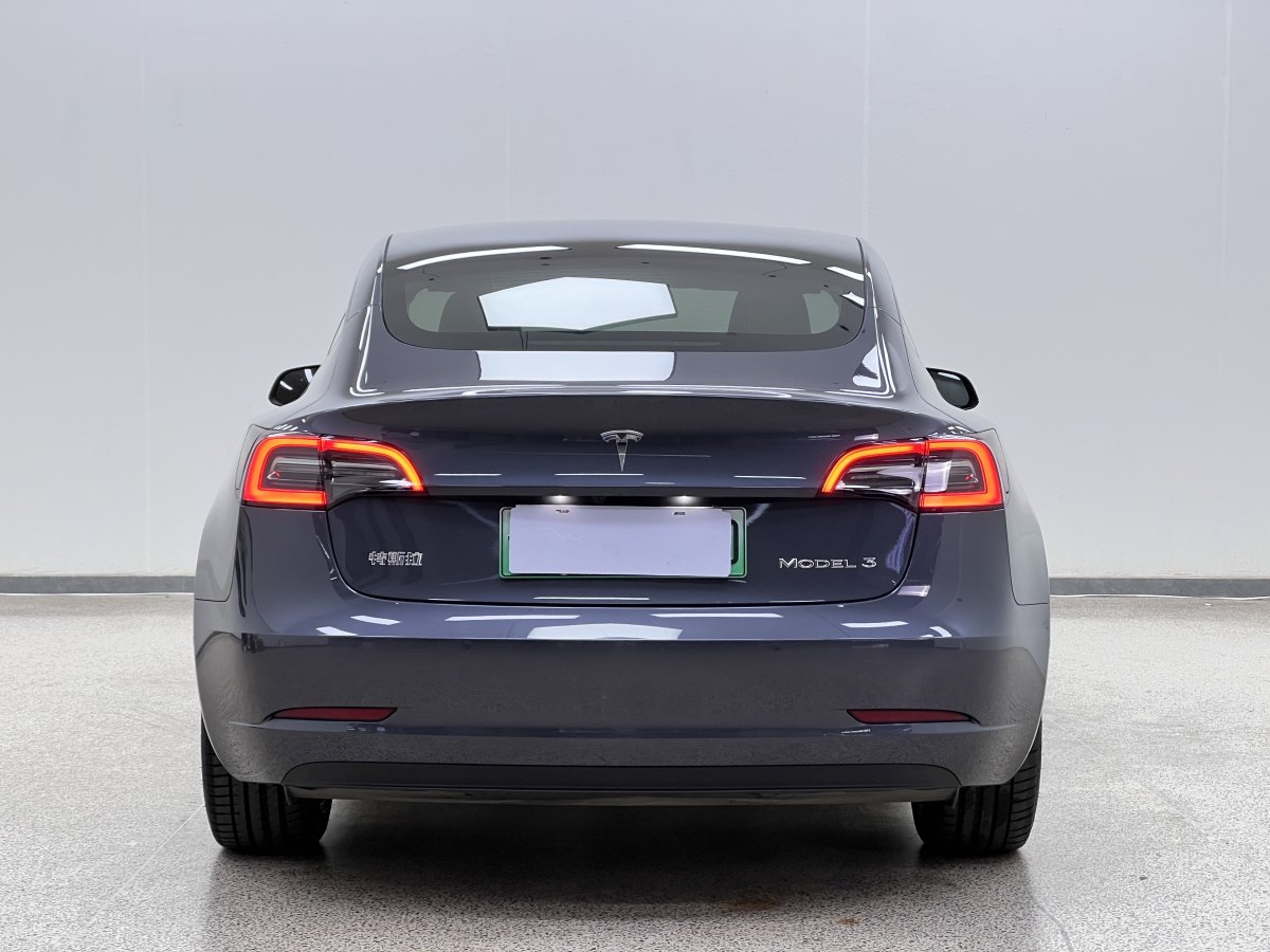 特斯拉 Model 3  2021款 標(biāo)準(zhǔn)續(xù)航后驅(qū)升級(jí)版 3D6圖片