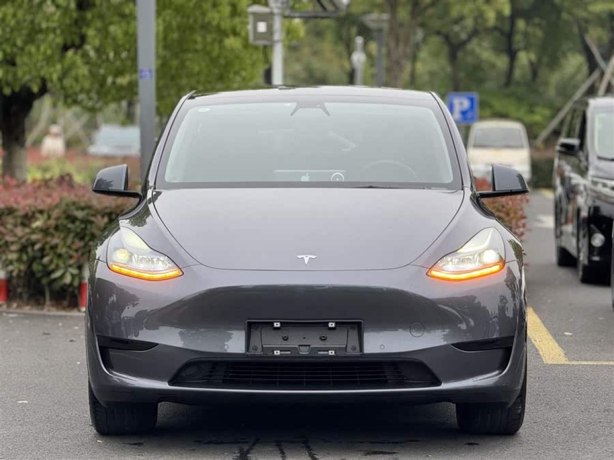特斯拉 Model Y  2021款 長(zhǎng)續(xù)航全輪驅(qū)動(dòng)版 3D7圖片