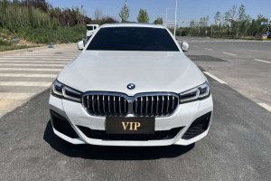 寶馬5系 寶馬 530Li 領(lǐng)先型 M運動套裝