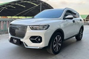H6 哈弗 1.5GDIT 自動鉑金冠軍版