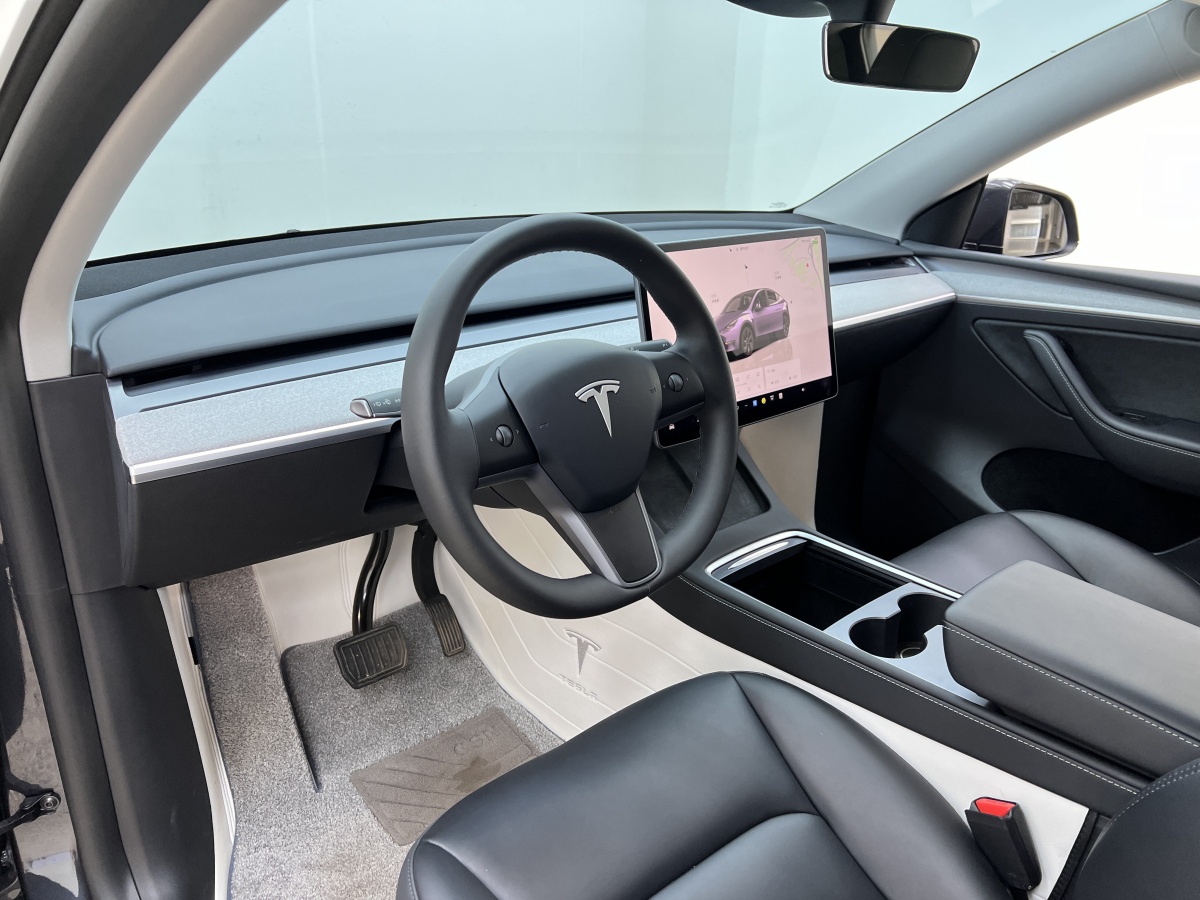 2024年4月特斯拉 Model Y  2020款 改款 長續(xù)航后輪驅(qū)動版