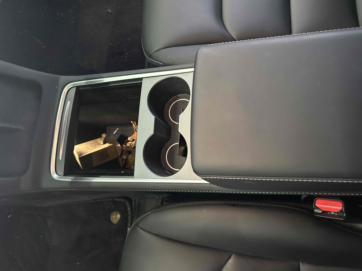 特斯拉 Model 3  2022款 后輪驅(qū)動(dòng)版圖片