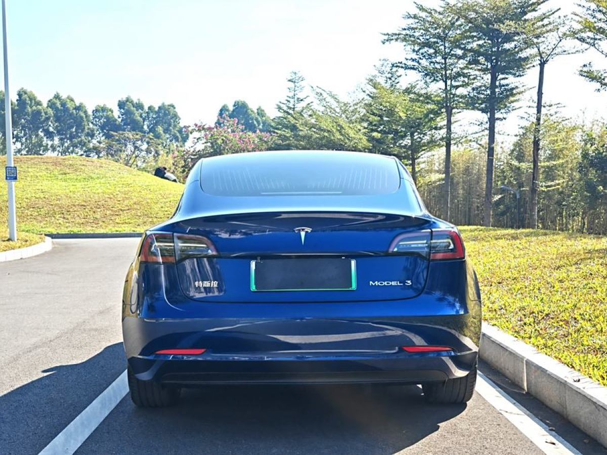 特斯拉 Model 3  2020款 改款 長續(xù)航后輪驅(qū)動版圖片