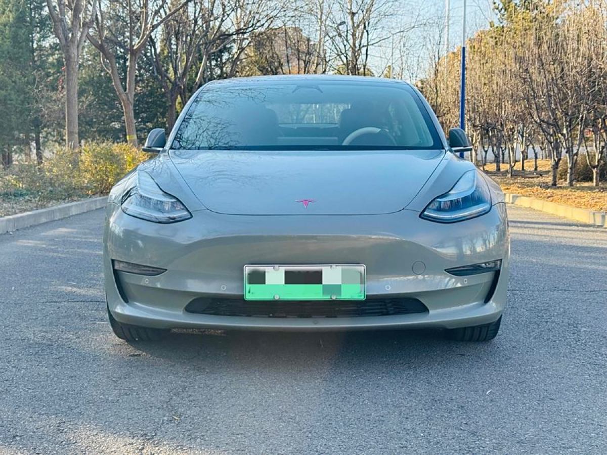 特斯拉 Model 3  2020款 改款 長續(xù)航后輪驅(qū)動版圖片