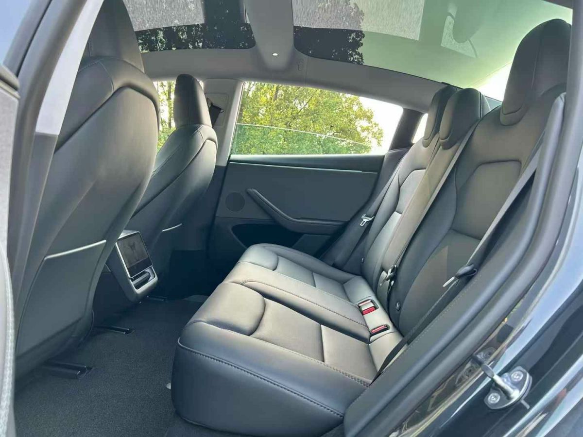 特斯拉 Model Y  2025款 后輪驅(qū)動 首發(fā)版圖片