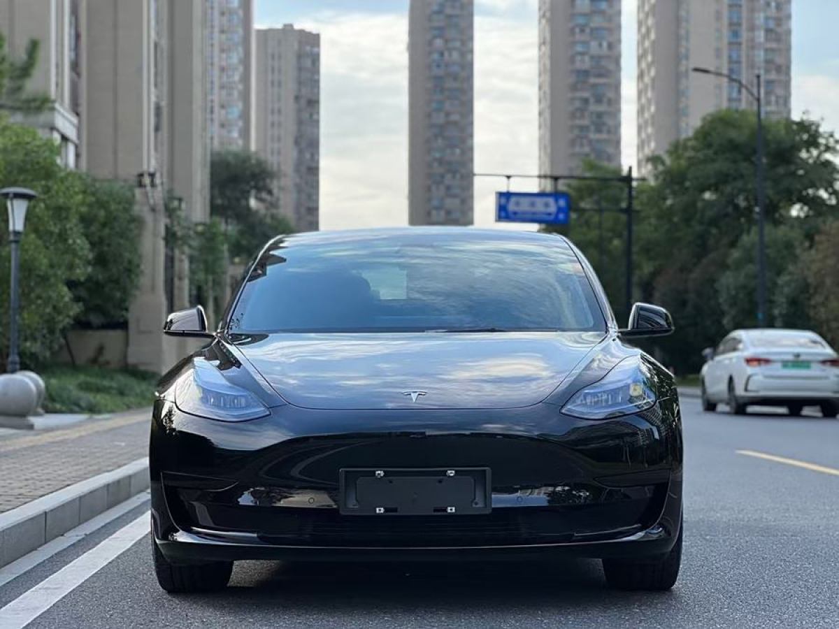 2020年11月特斯拉 Model 3  2019款 標(biāo)準(zhǔn)續(xù)航后驅(qū)升級(jí)版