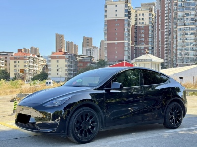 2021年09月 特斯拉 Model Y 改款 标准续航后驱升级版图片