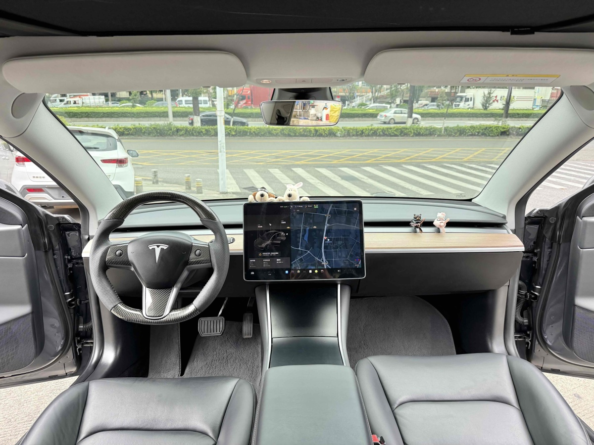 特斯拉 Model 3  2019款 長續(xù)航后驅(qū)版圖片
