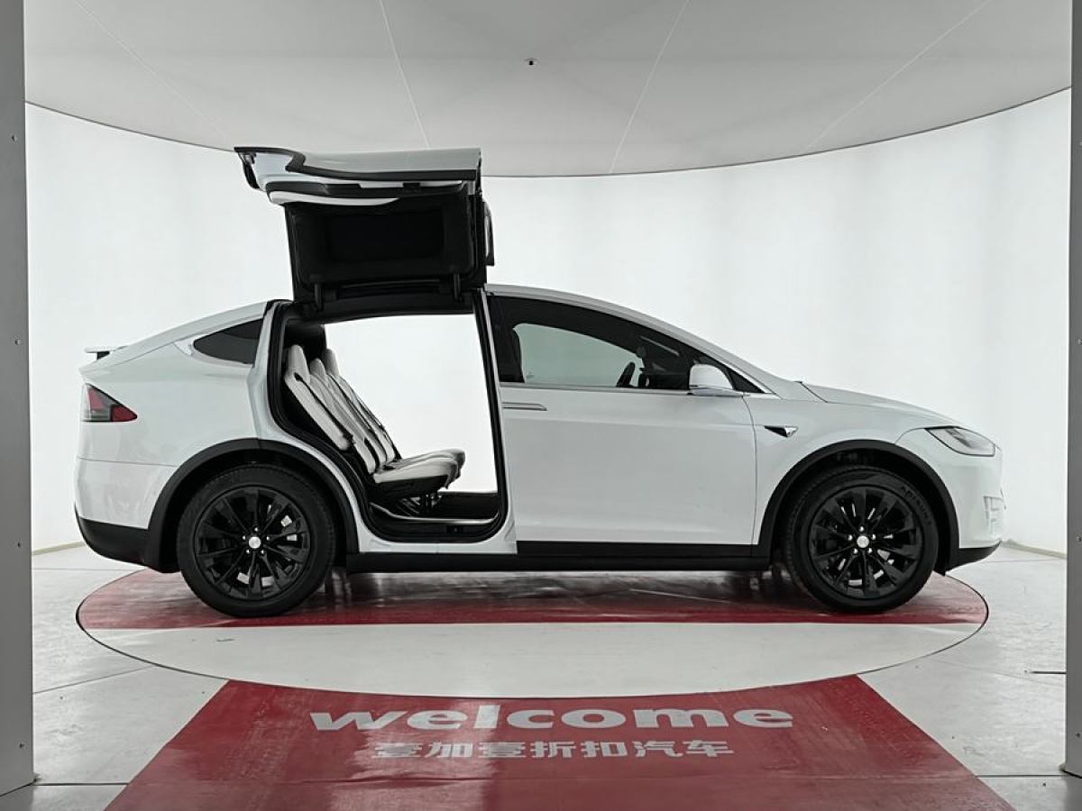 特斯拉 Model X  2019款 長(zhǎng)續(xù)航版圖片