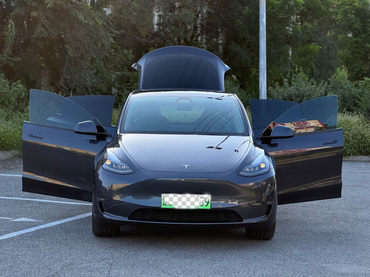 特斯拉 Model Y  2021款 改款 Performance高性能全轮驱动版图片