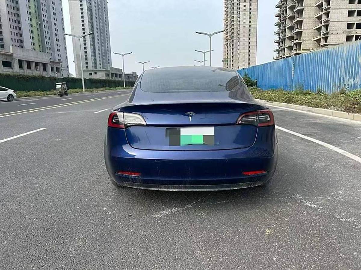 特斯拉 Model 3  2019款 長(zhǎng)續(xù)航后驅(qū)版圖片