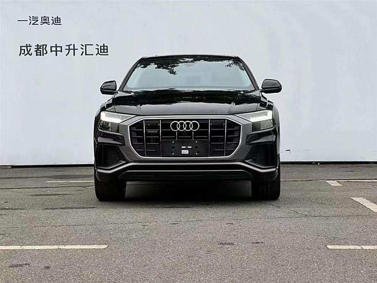 奧迪 奧迪Q8  2024款 55 TFSI 豪華動感型圖片