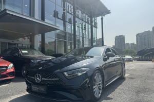 奔馳CLS級(jí) 奔馳 CLS 300 動(dòng)感型