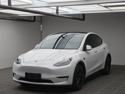 2021年6月 特斯拉 Model 3 长续航全轮驱动版 3D7图片