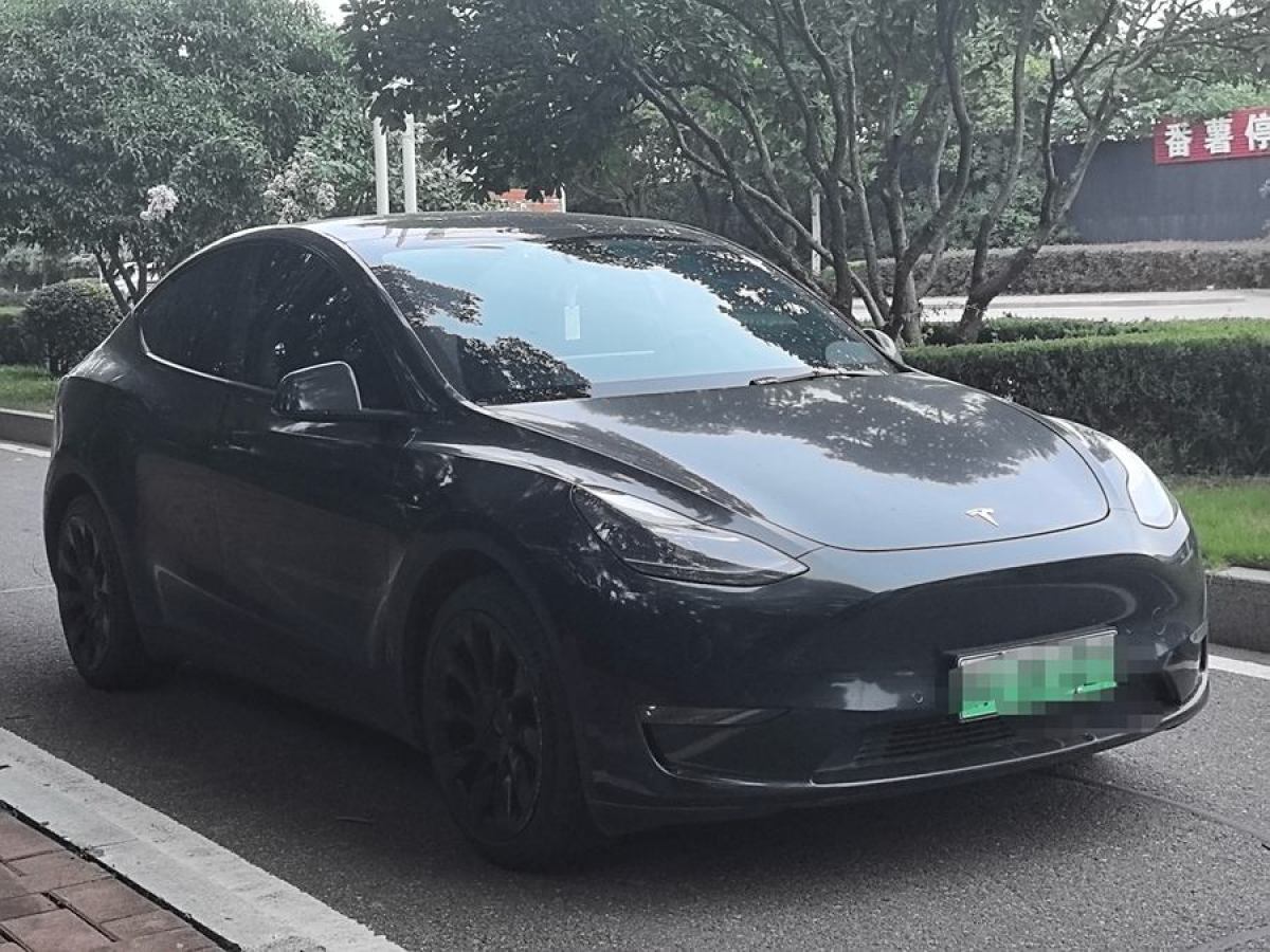 特斯拉 Model 3  2021款 改款 標準續(xù)航后驅(qū)升級版圖片