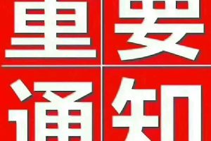 737 濰柴英致 