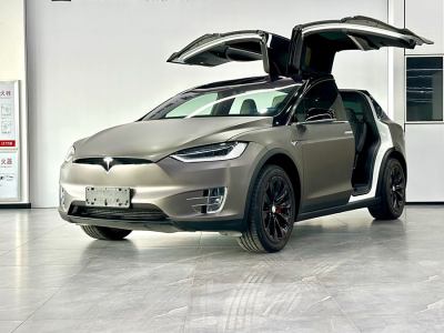 2020年1月 特斯拉 Model X 長(zhǎng)續(xù)航版圖片