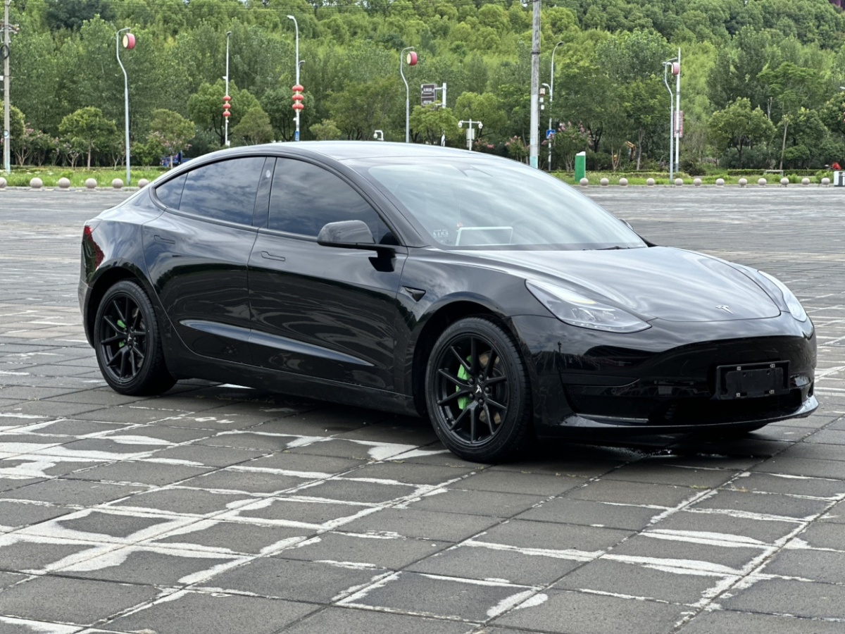 特斯拉 Model 3  2019款 標(biāo)準(zhǔn)續(xù)航后驅(qū)升級(jí)版圖片