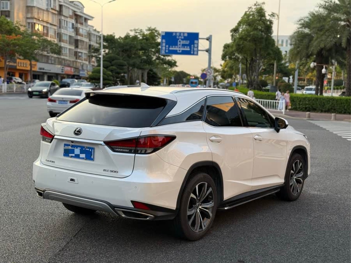 雷克薩斯 RX  2020款 300 四驅(qū)典雅版 國(guó)VI圖片