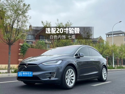 2020年7月 特斯拉 Model X 長續(xù)航升級版圖片