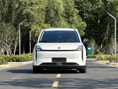 2022年7月 奔騰 奔騰NAT 舒享出行版 100kW 425km圖片