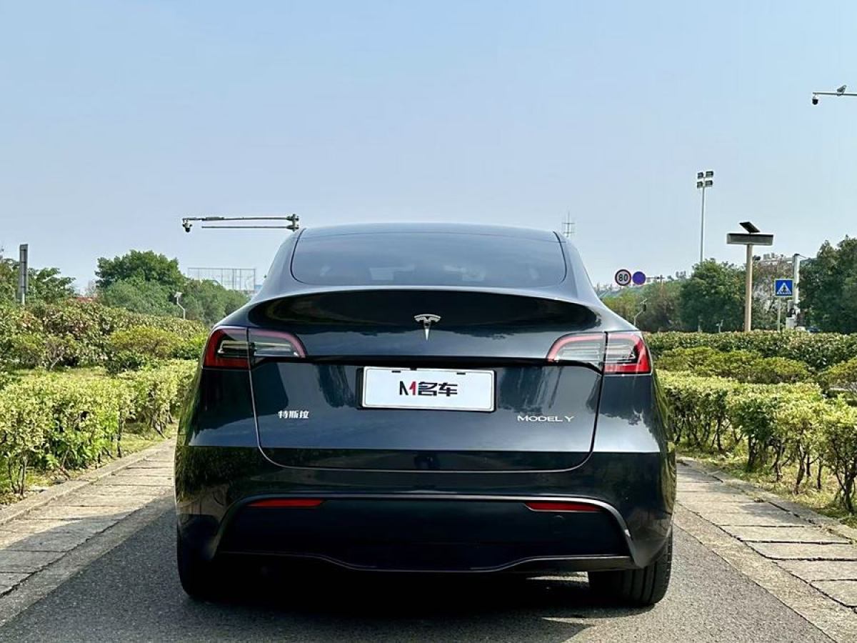 特斯拉 Model Y  2020款 改款 長續(xù)航后輪驅(qū)動版圖片