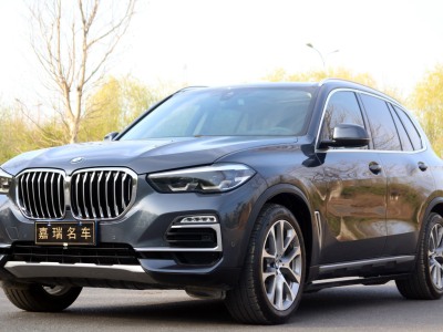 2019年1月 宝马 宝马X5(进口) xDrive30i X设计套装图片