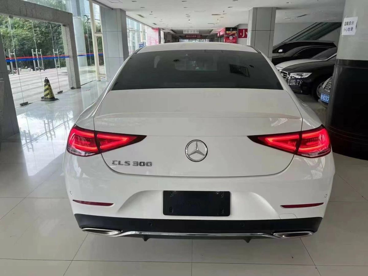 奔馳 奔馳CLS級  2021款 CLS 260圖片