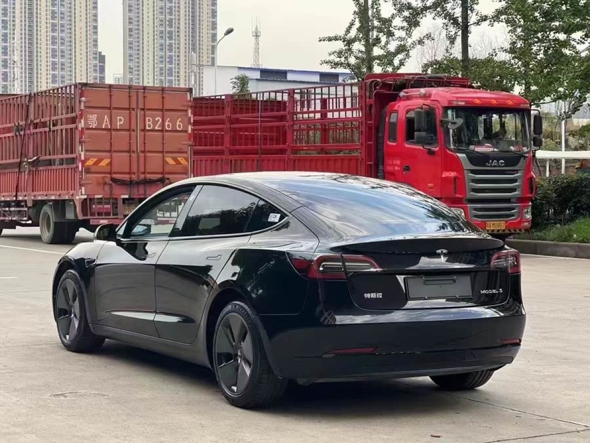 特斯拉 Model 3  2023款 煥新版 后輪驅(qū)動圖片
