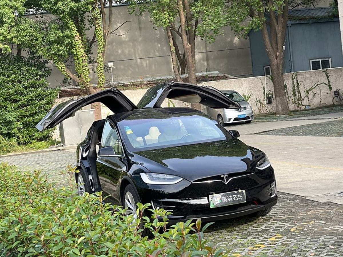 特斯拉 Model X  2019款 長續(xù)航版圖片