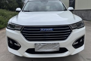 H6 哈弗 換代 藍(lán)標(biāo) 1.5T 自動(dòng)豪華型